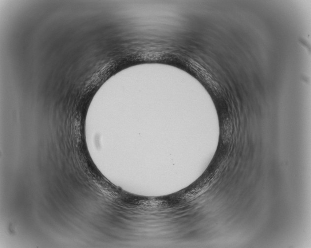 X0000097840497200804111108