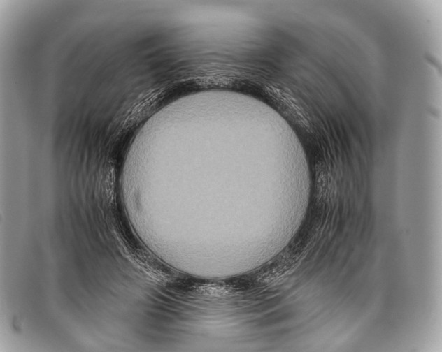 X0000097840498200804111108
