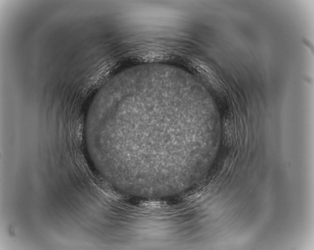 X0000097840499200804111108