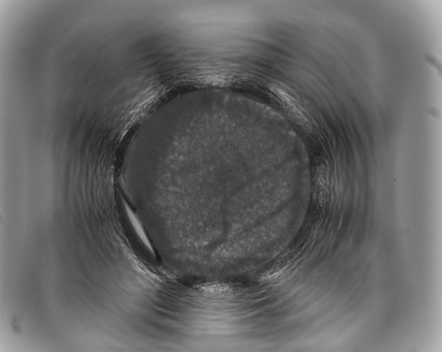 X0000097840500200804111108