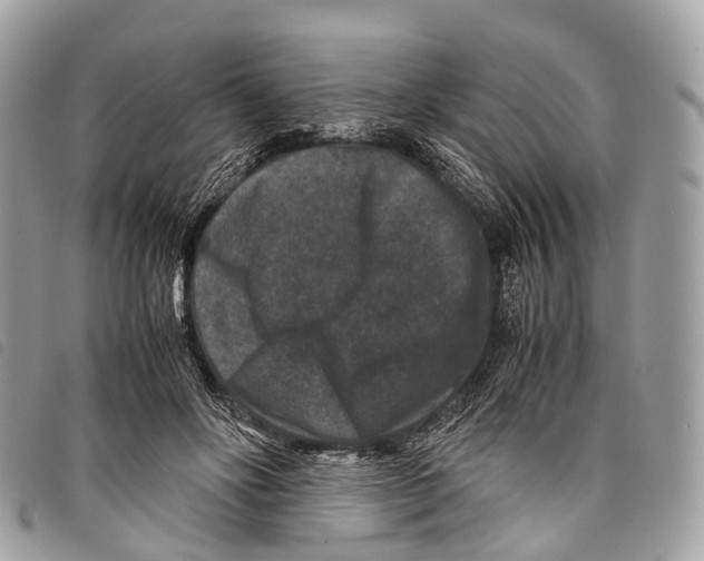 X0000097840502200804111108