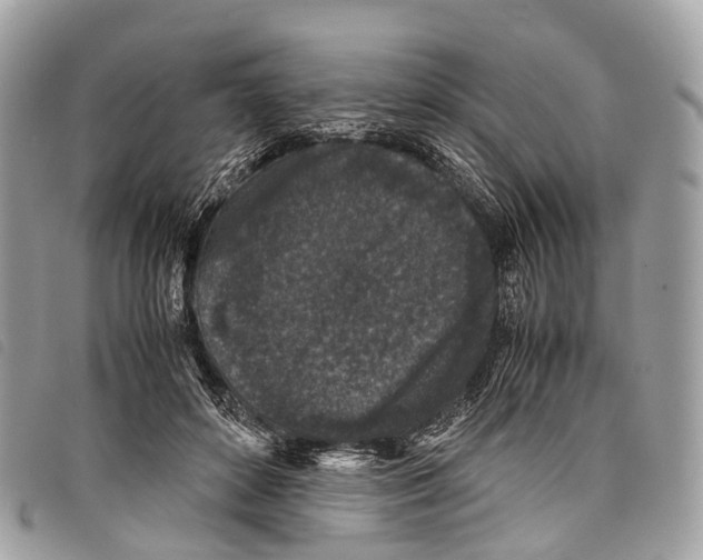 X0000097840504200804111108