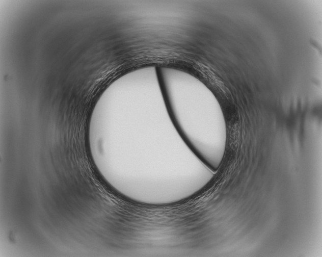 X0000097840505200804111108
