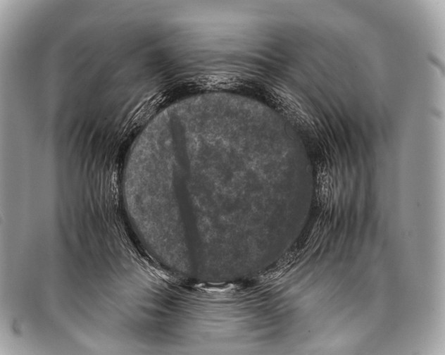 X0000097840506200804111108