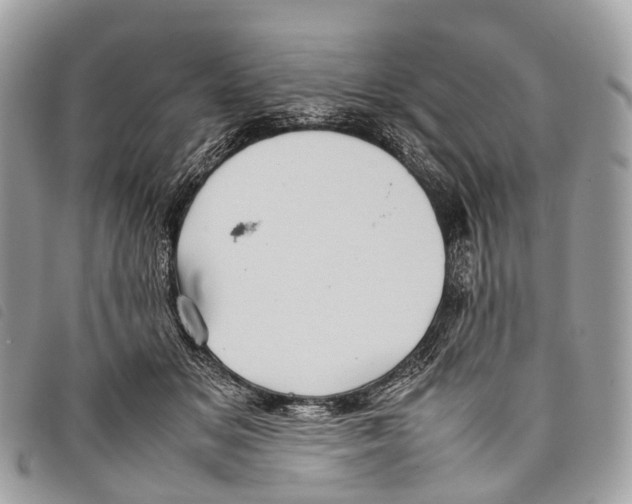 X0000097840509200804111108