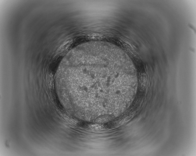 X0000097840511200804111108