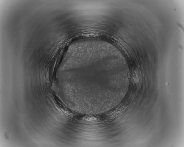 X0000097840512200804111108