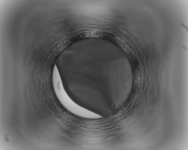 X0000097840513200804111108