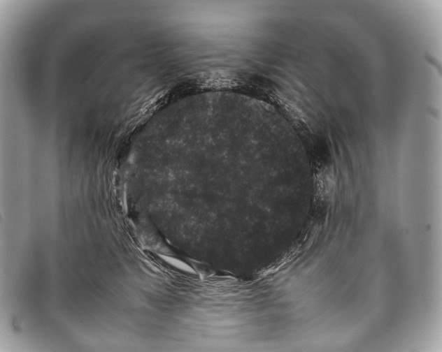 X0000097840517200804111108