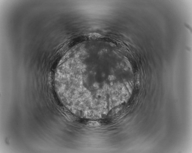 X0000097840519200804111108