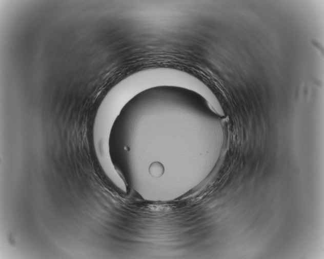 X0000097840520200804111108