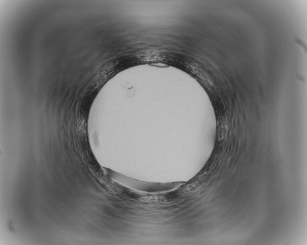 X0000097840521200804111107