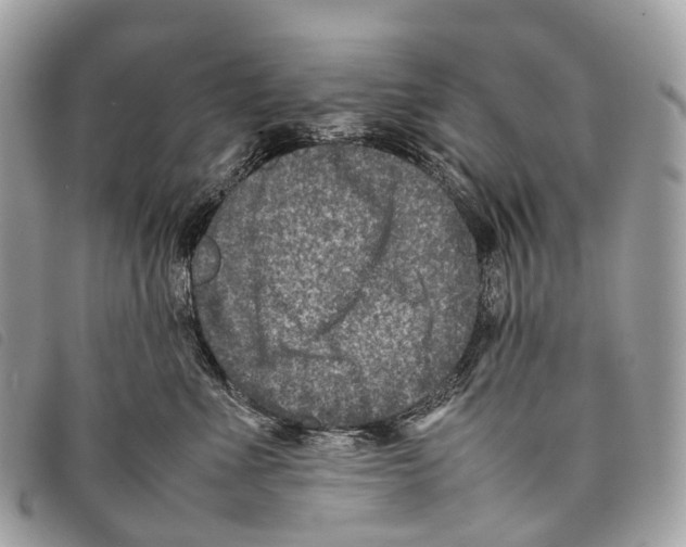 X0000097840523200804111107