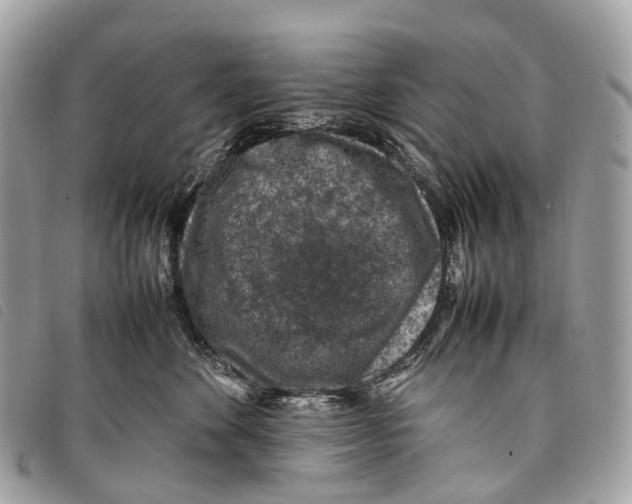 X0000097840524200804111107