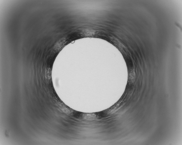 X0000097840525200804111107