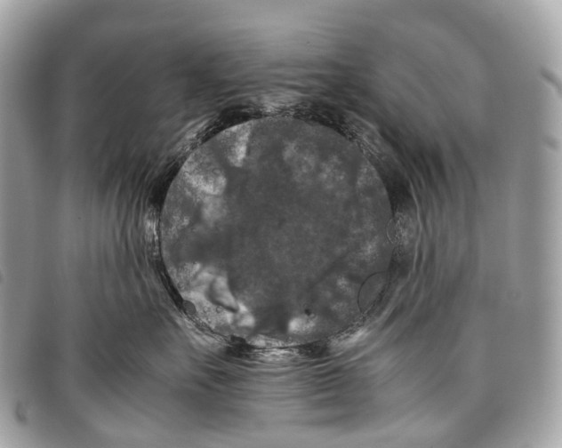 X0000097840527200804111107
