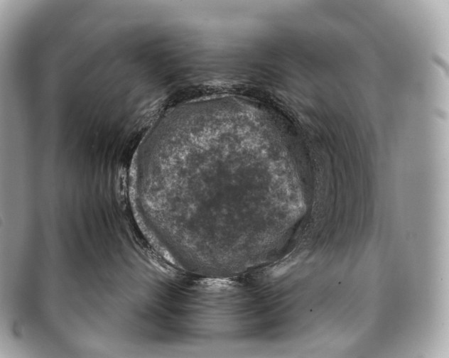 X0000097840528200804111107