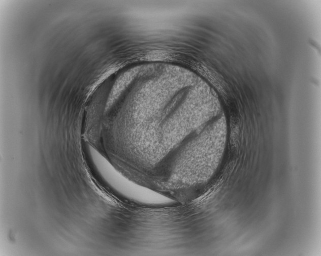 X0000097840530200804111106