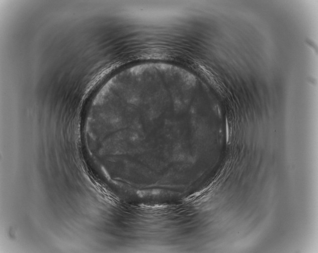 X0000097840531200804111106