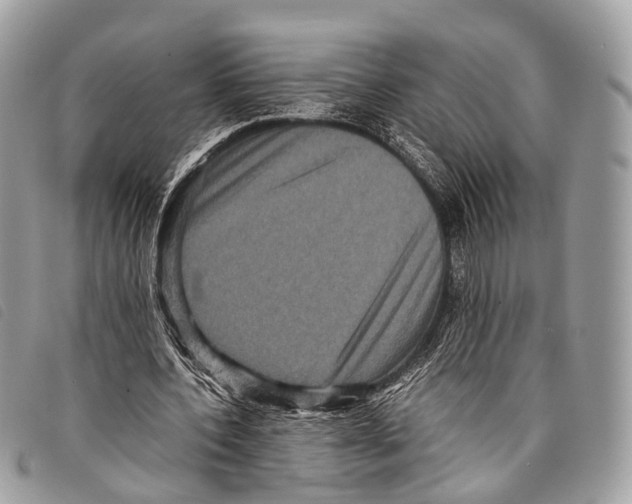 X0000097840532200804111106