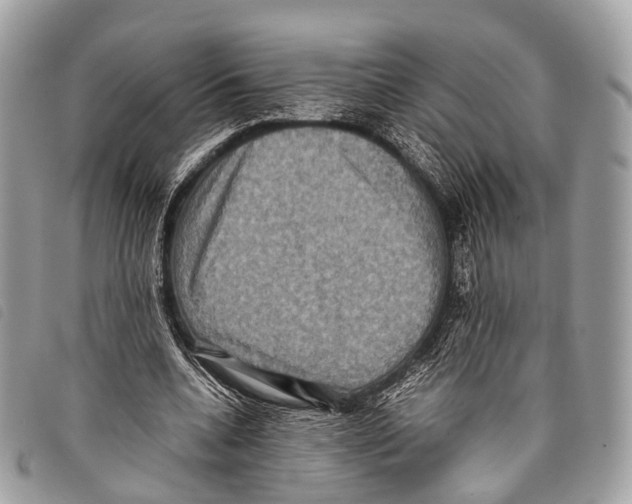 X0000097840536200804111106