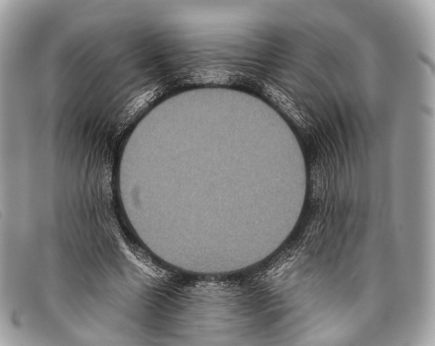 X0000097840538200804111107