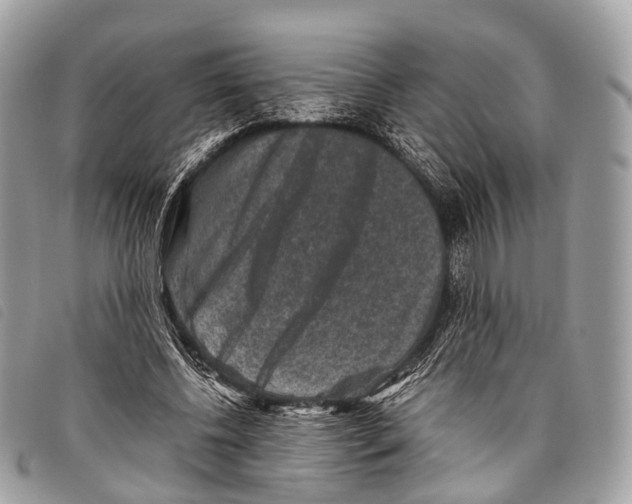 X0000097840540200804111107