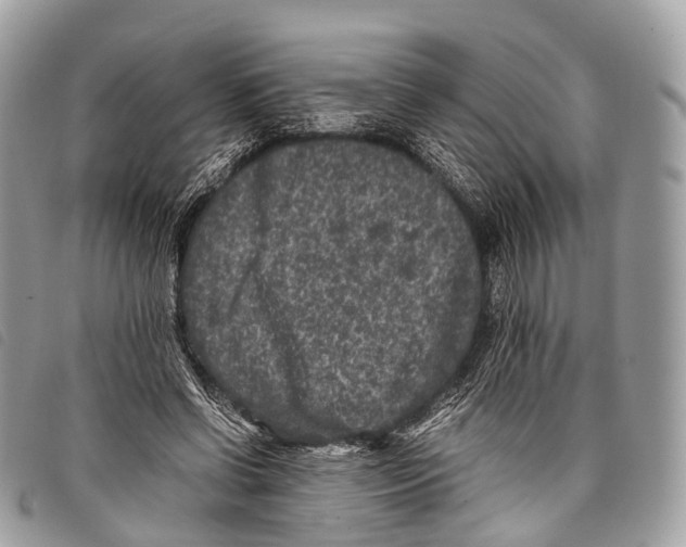 X0000097840542200804111107