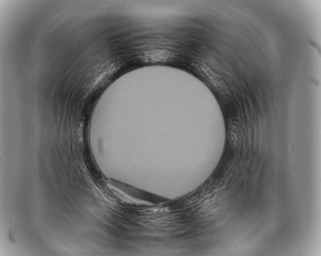 X0000097840543200804111107