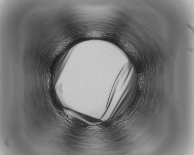 X0000097840544200804111107