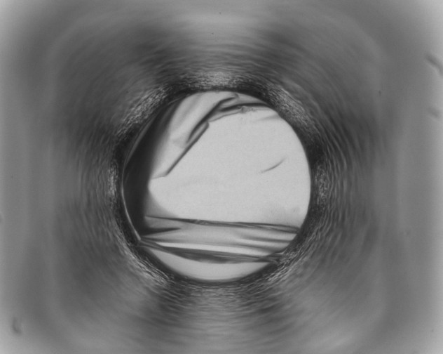X0000097840546200804111107