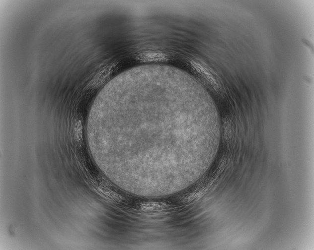 X0000097840549200804111107