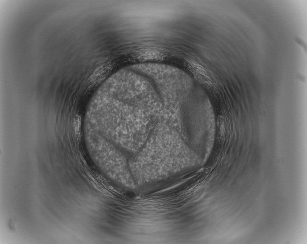 X0000097840550200804111107