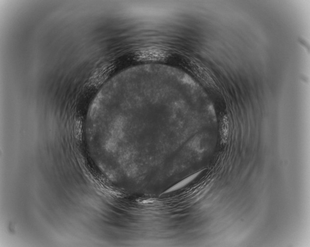 X0000097840551200804111107