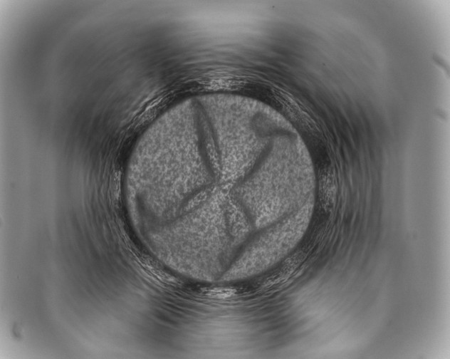 X0000097840554200804111107