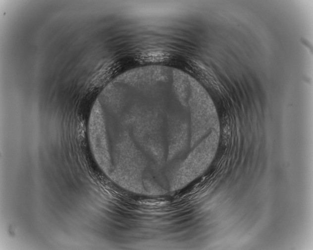 X0000097840555200804111107