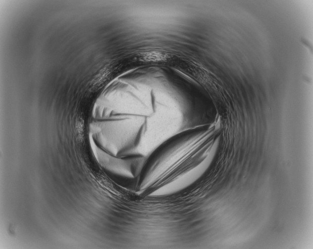 X0000097840556200804111107