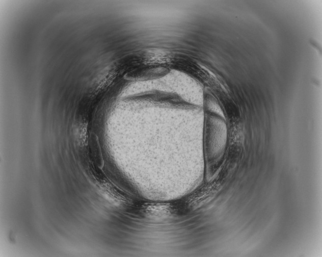 X0000097840560200804111107