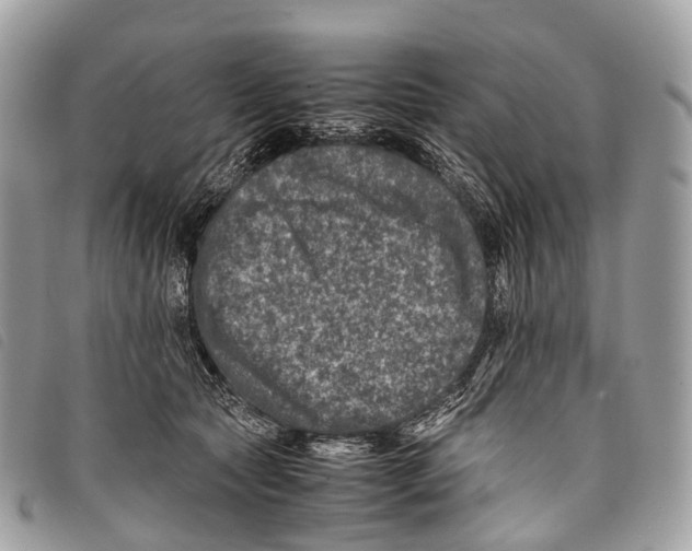 X0000097840561200804111107