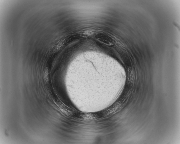 X0000097840562200804111107