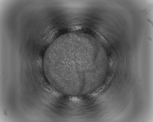 X0000097840565200804111107