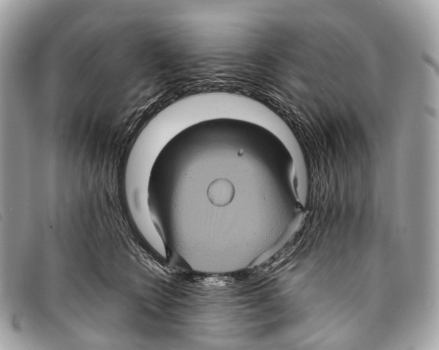 X0000097840566200804111107