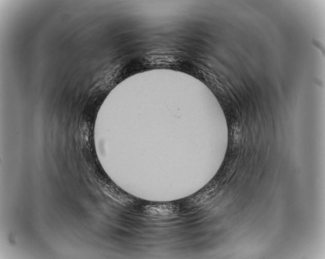 X0000097840567200804111107