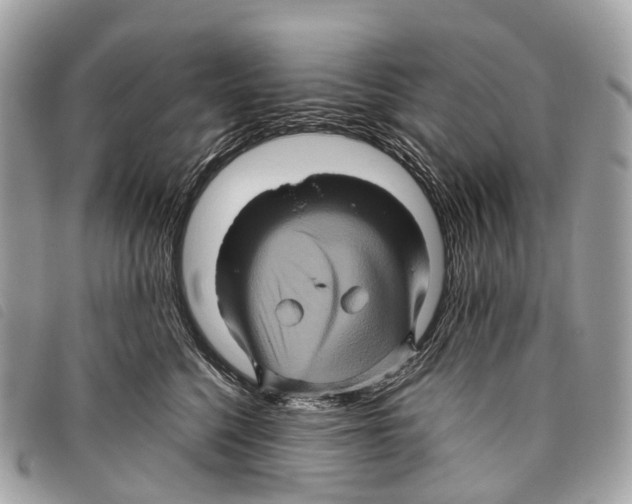 X0000097840568200804111107