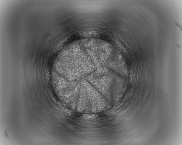 X0000097840569200804111107
