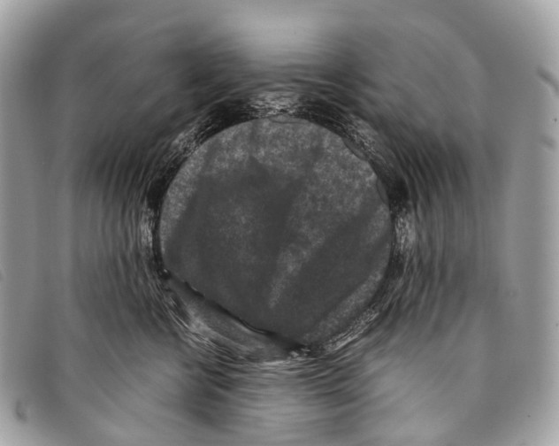 X0000097840570200804111107