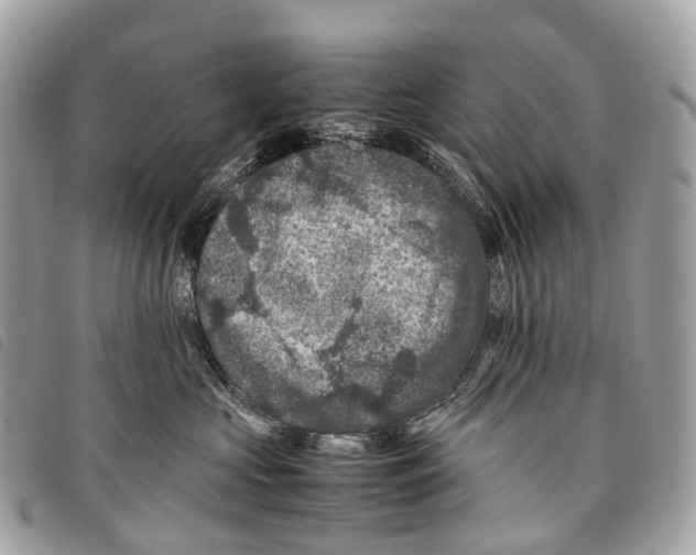 X0000097840573200804111107