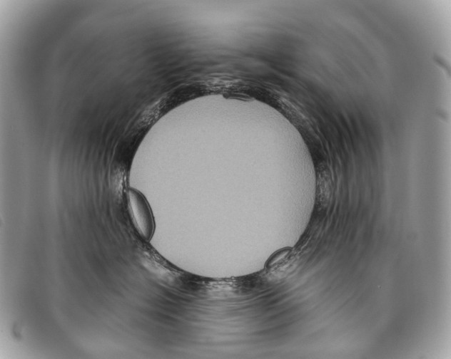 X0000097840574200804111107