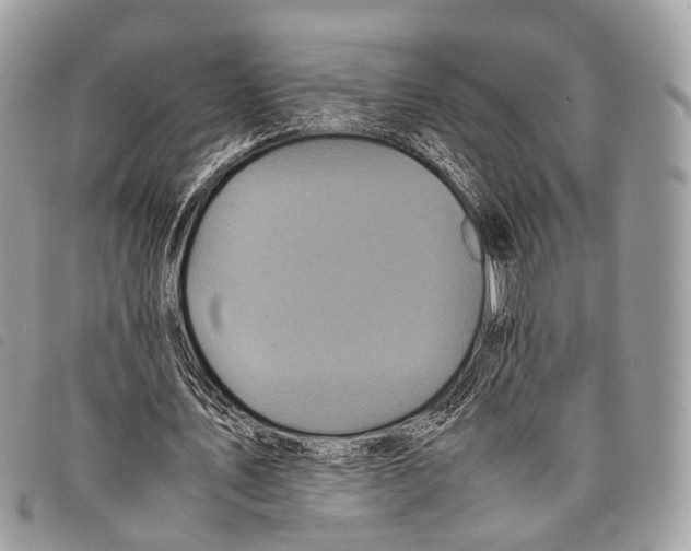 X0000097840579200804111106