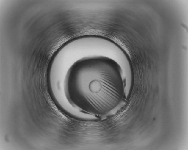 X0000097840581200804111106